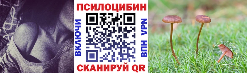 Купить  Кингисепп  Галлюциногенные грибы мицелий 