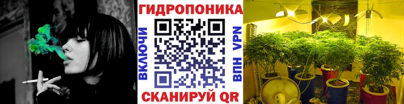 Купить где  Кингисепп  МАРИХУАНА THC 21% 